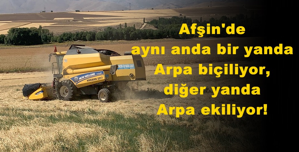 Afşin’de aynı anda bir yanda Arpa biçiliyor,diğer yanda Arpa ekiliyor!