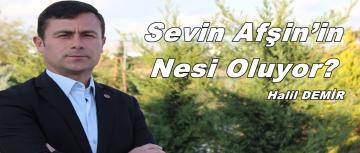 Sevin Afşin’in Nesi Oluyor?