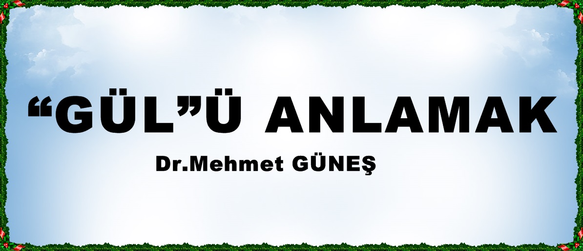 “GÜL”Ü ANLAMAK