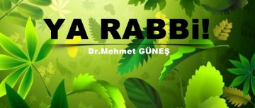 YÂ RABBÎ