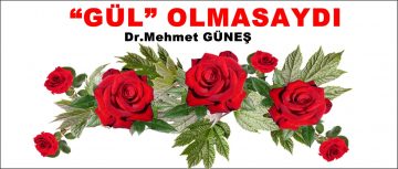  “GÜL” OLMASAYDI