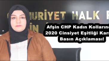 Afşin CHP Kadın Kollarından 2020 Cinsiyet Eşitliği Karnesi Basın Açıklaması!