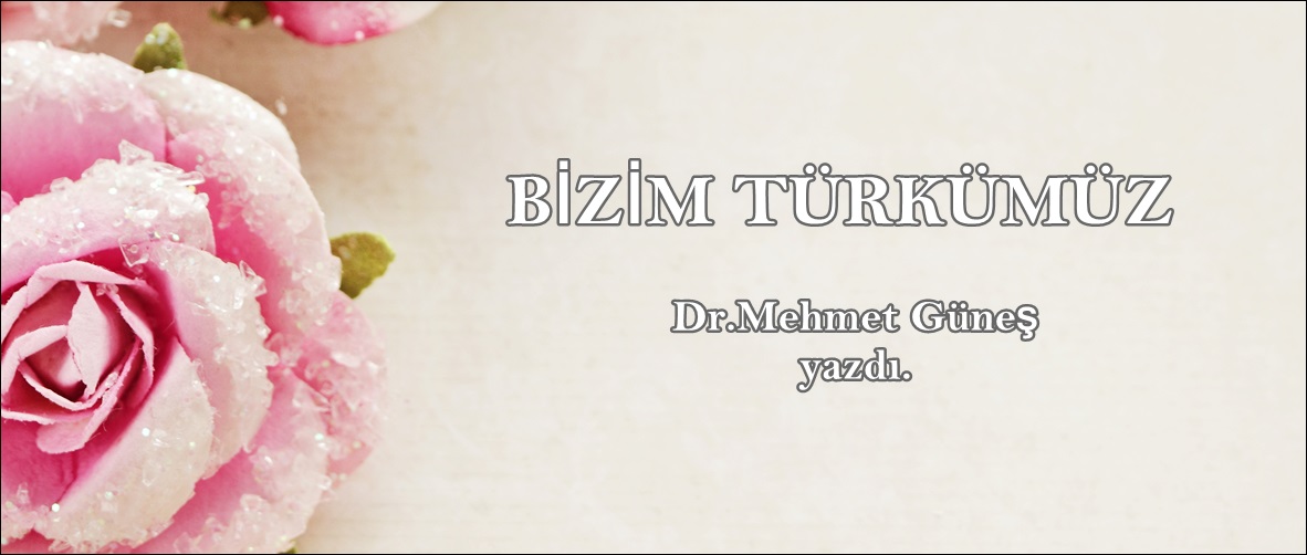 BİZİM TÜRKÜMÜZ