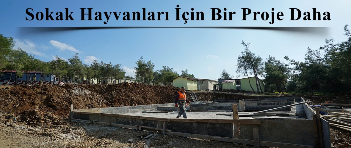 Sokak Hayvanları İçin Bir Proje Daha!