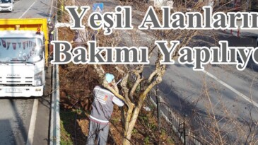 Yeşil Alanların Bakımı Yapılıyor!