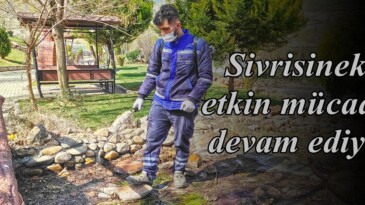 Sivrisinekle etkin mücadele devam ediyor!