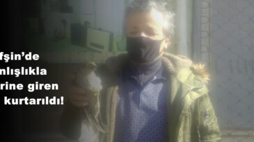 Afşin’de Yanlışlıkla iş yerine giren Şahin kurtarıldı!