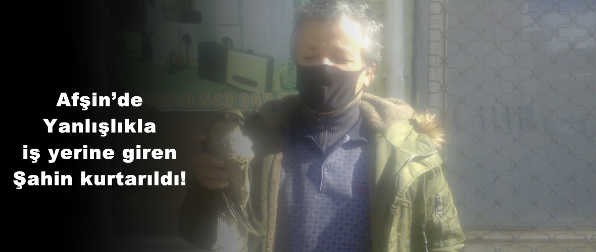 Afşin’de Yanlışlıkla iş yerine giren Şahin kurtarıldı!