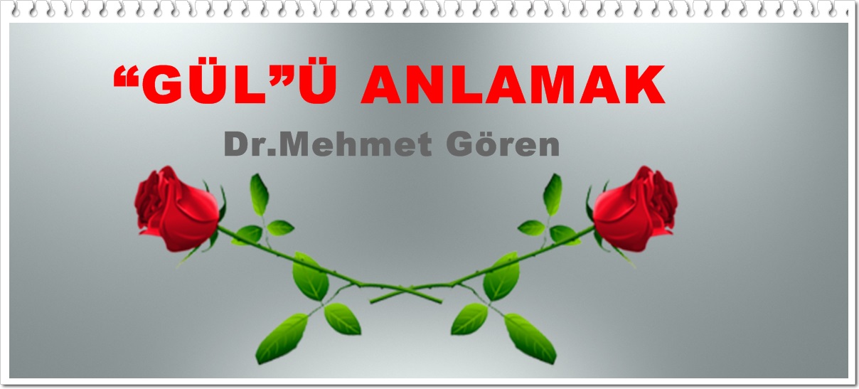 “GÜL”Ü ANLAMAK