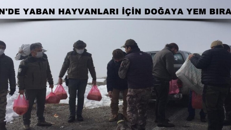 AFŞİN’DE YABAN HAYVANLARI İÇİN DOĞAYA YEM BIRAKILDI