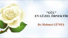 “GÜL” EN GÜZEL ÖRNEKTİR