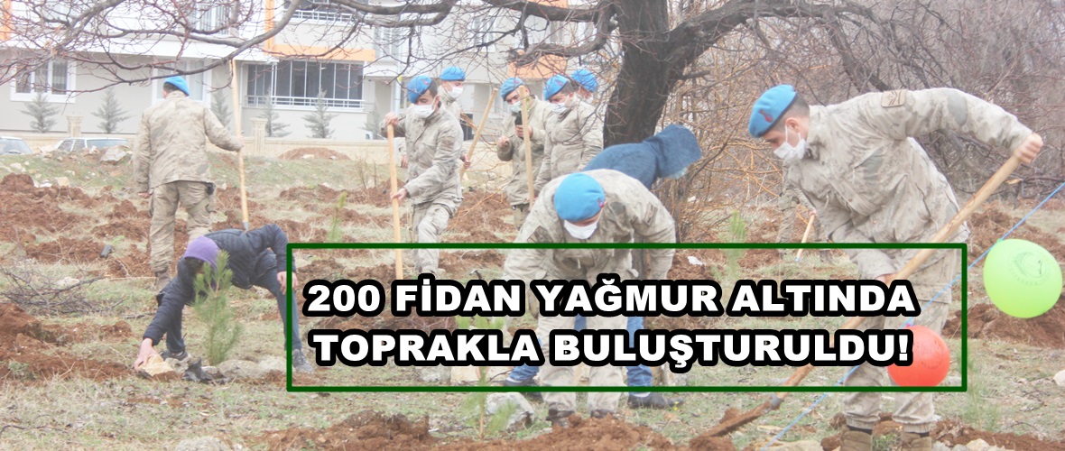 Afşin’de 200 Fidan Yağmur altında toprakla buluşturuldu!