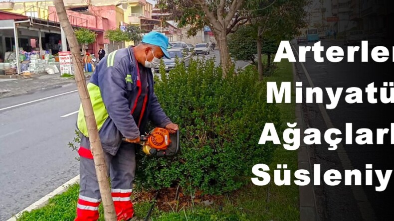 Arterler Minyatür Ağaçlarla Süsleniyor!