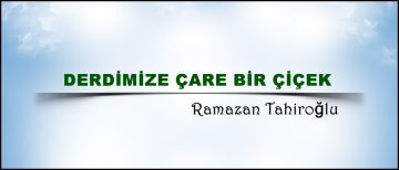 DERDİMİZE ÇARE BİR ÇİÇEK