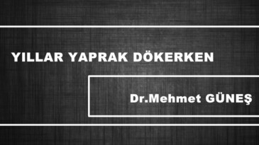 YILLAR YAPRAK DÖKERKEN