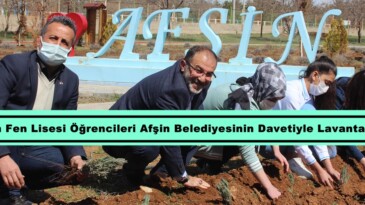 Afşin Fen Lisesi Öğrencileri Afşin Belediyesinin Davetiyle Lavanta dikti!
