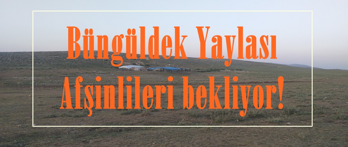 Büngüldek Yaylası Afşinlileri bekliyor!