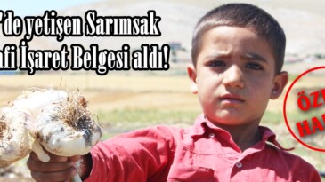 Afşin’de yetişen Sarımsak Coğrafi İşaret Belgesi aldı!