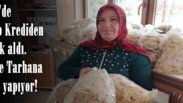 Afşin’de Mikro Krediden destek aldı. Online Tarhana satışı yapıyor!