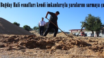 Afşin’de Buğday Hali esnafları kendi imkanlarıyla yaralarını sarmaya çalışıyor!