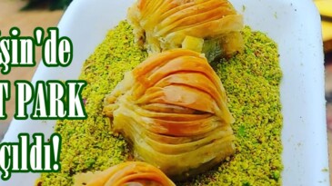 Afşin’de TAT PARK açıldı!