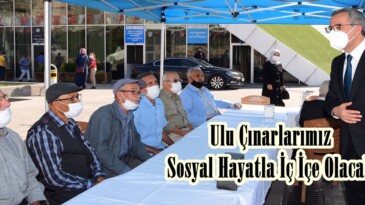 Ulu Çınarlarımız Sosyal Hayatla İç İçe Olacak!