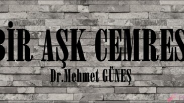 BİR AŞK CEMRESİ