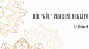 BİR “GÜL” CEMRESİ BEKLİYORUZ