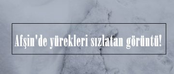 Afşin’de yürekleri sızlatan görüntü!