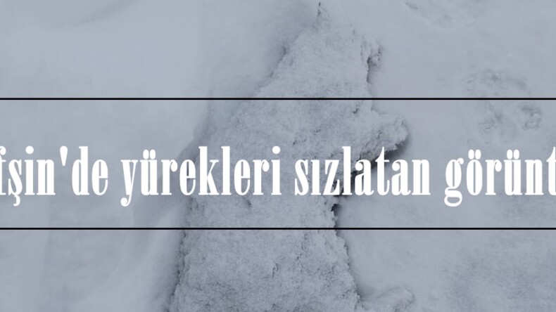 Afşin’de yürekleri sızlatan görüntü!