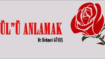 “GÜL”Ü ANLAMAK