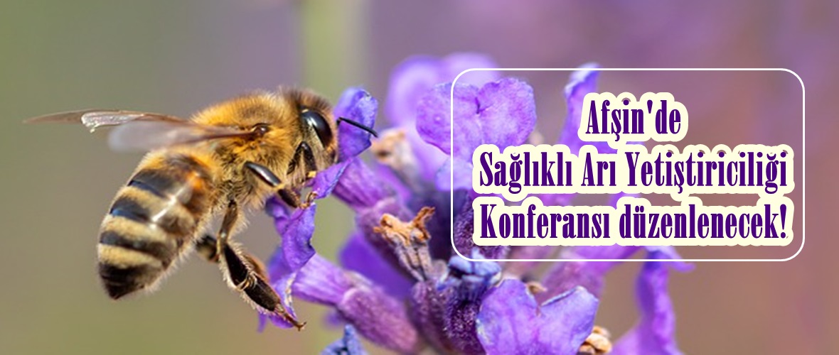 Afşin’de Sağlıklı Arı Yetiştiriciliği Konferansı düzenlenecek!