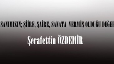 İNSANIMIZIN; ŞİİRE, ŞAİRE, SANATA  VERMİŞ OLDUĞU DEĞER!..