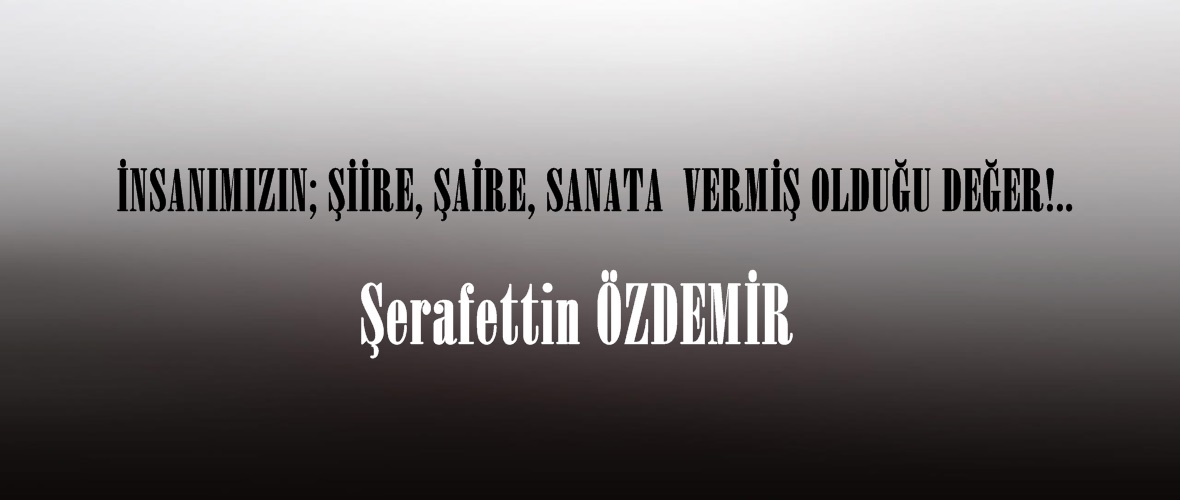 İNSANIMIZIN; ŞİİRE, ŞAİRE, SANATA  VERMİŞ OLDUĞU DEĞER!..