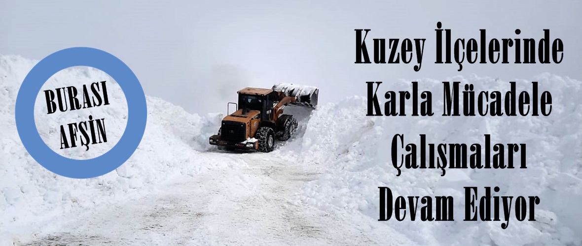 Kuzey İlçelerinde Karla Mücadele Çalışmaları Devam Ediyor.