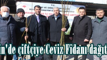 Afşin’de çiftçiye Ceviz Fidanı dağıtıldı.