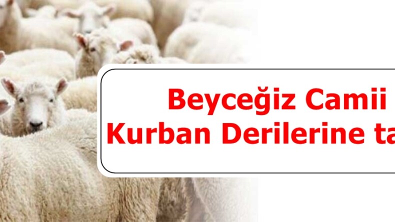 Beyceğiz Camii Kurban Derilerine talip.