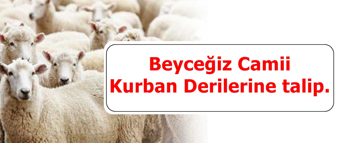 Beyceğiz Camii Kurban Derilerine talip.