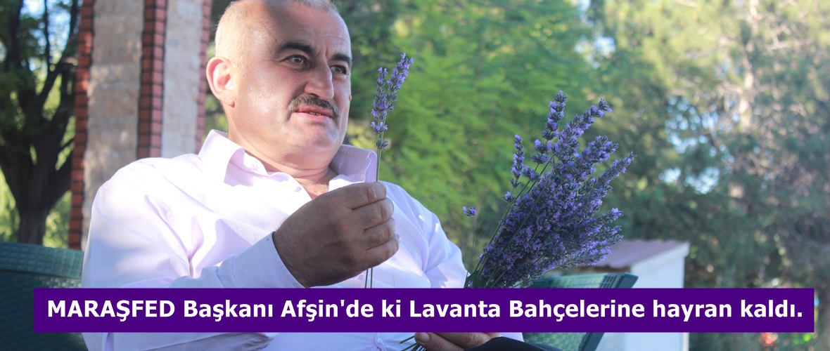 MARAŞFED Başkanı Afşin’de ki Lavanta Bahçelerine hayran kaldı.