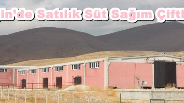 Afşin’de Satılık Süt Sağım Çiftliği