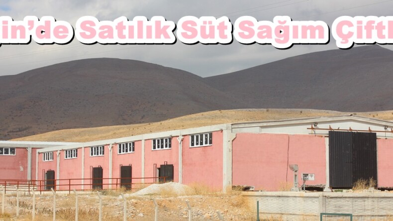 Afşin’de Satılık Süt Sağım Çiftliği