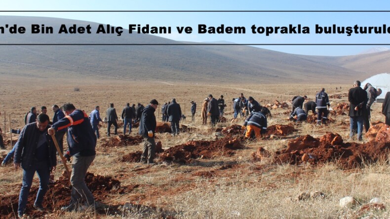 Afşin’de Bin Adet Alıç Fidanı ve Badem toprakla buluşturuldu.
