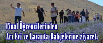 Final Öğrencilerinden Arı Evi ve Lavanta Bahçelerine ziyaret.