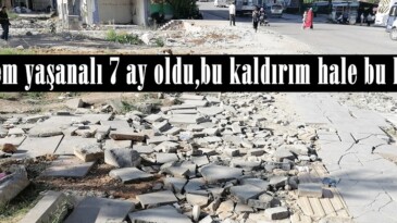 Deprem yaşanalı 7 ay oldu,bu kaldırım hale bu halde!