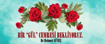 BİR “GÜL” CEMRESİ BEKLİYORUZ.