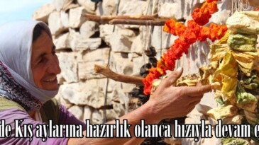 Afşin’de Kış aylarına hazırlık olanca hızıyla devam ediyor.