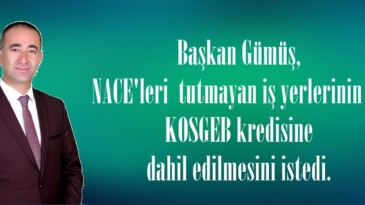 Başkan Gümüş, NACE’leri  tutmayan iş yerlerinin de KOSGEB kredisine dahil edilmesini istedi.