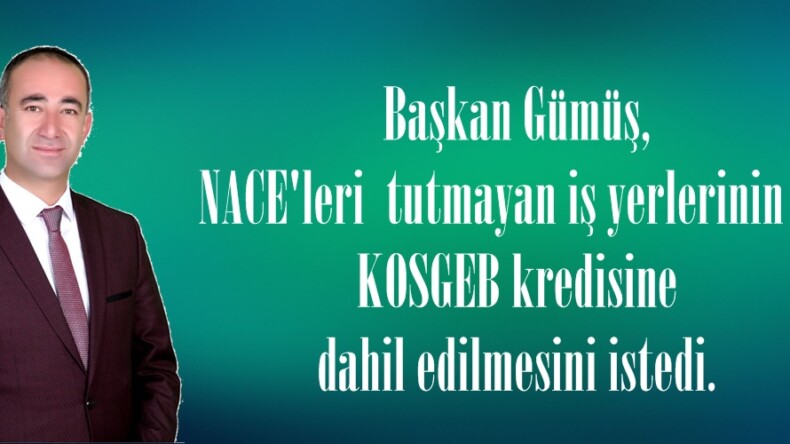 Başkan Gümüş, NACE’leri tutmayan iş yerlerinin de KOSGEB kredisine dahil edilmesini istedi.