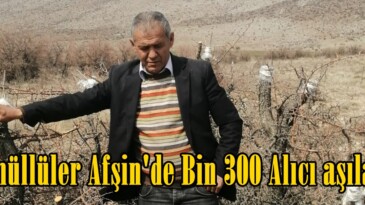Gönüllüler Afşin’de Bin 300 Alıcı aşıladı.