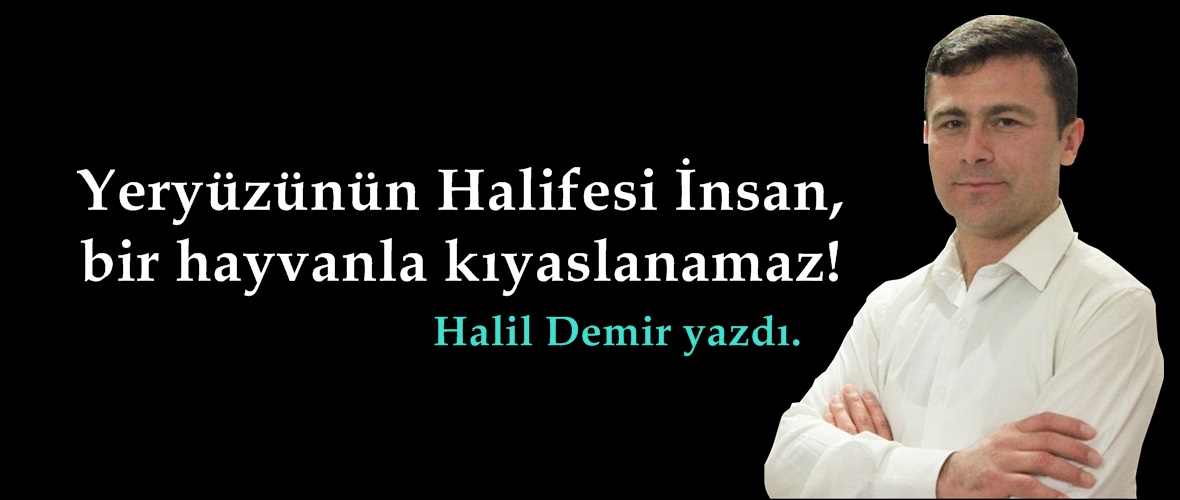 Yeryüzünün Halifesi İnsan,bir hayvanla kıyaslanamaz!